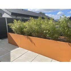 H�jbede i cortenst�l