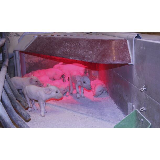 Isolerende mtte til smgrishule 1600mm