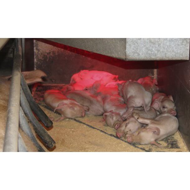 Isolerende mtte til smgrishule 1600mm