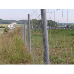 Stng med spets 8x175 cm