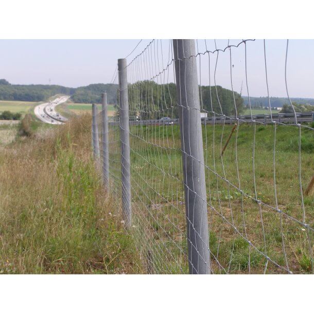 Stng med spets 8x175 cm