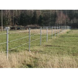 Stng med spets 8x175 cm