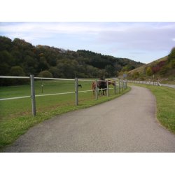 Stng med spets 8x175 cm