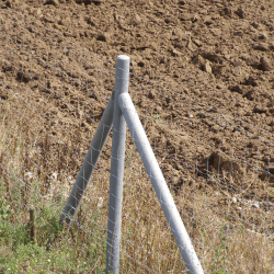 Stng med spets 8x175 cm