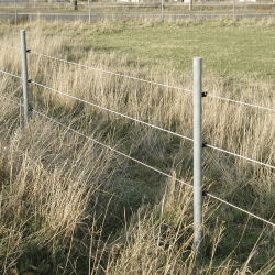 Stng med spets 8x175 cm