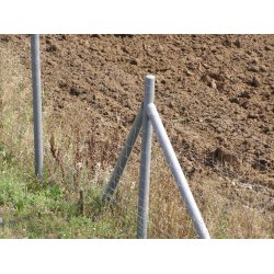 Stng med spets 6x150 cm