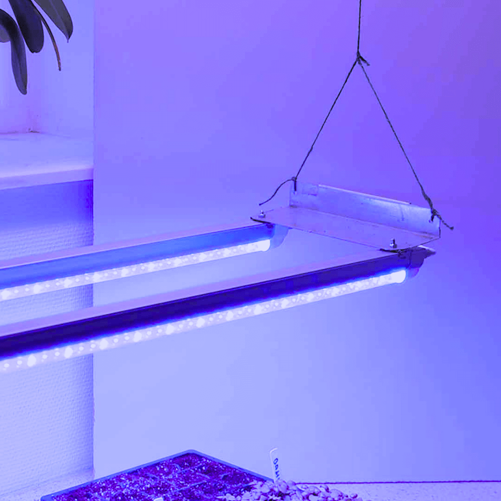 Indendørs Vækstlys med - Dobbelt - cm - LED lys / Varmemåtte - GrowCamp