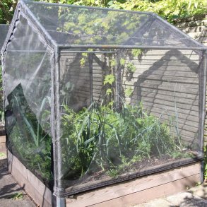 Tunnel top section for Siberian larch raised bed 120x120 cm