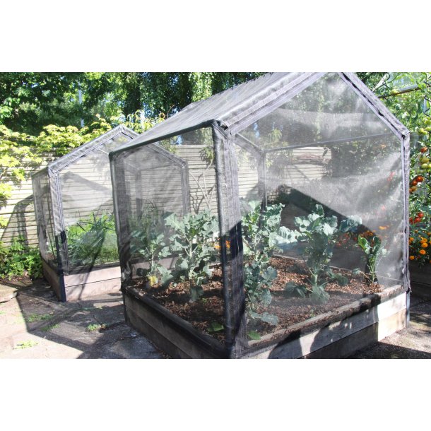 Tunneloverbygning til Sibirisk lrk hjbedsramme 120x120 cm