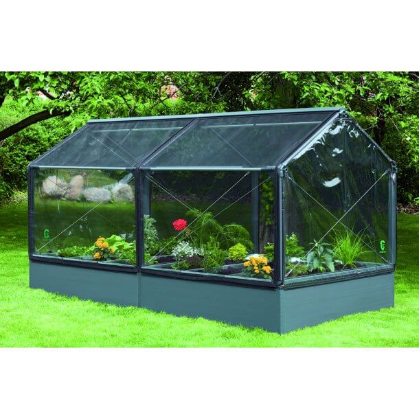 Hedging of insectnet 