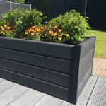 Højbede uden sneglekant