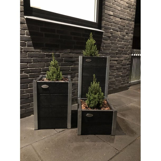 Lille Blomsterkumme Helrs