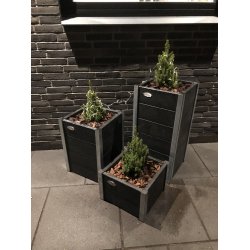 Lille Blomsterkumme Helrs