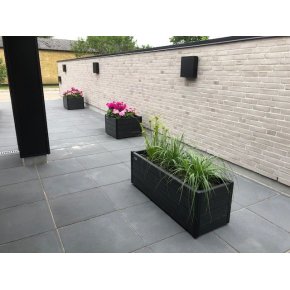 Stausgaard - Hegn og blomsterkummer 