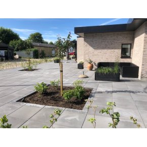 Stausgaard - Hegn og blomsterkummer 