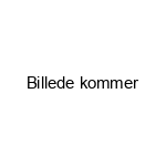 Krybber og Trug