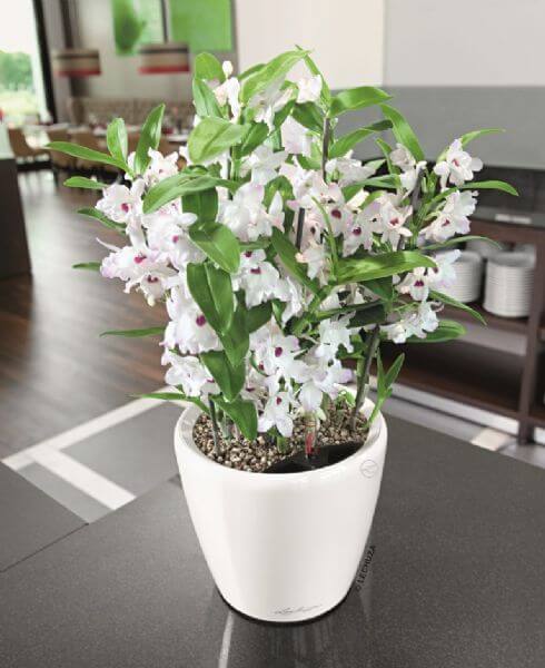 Lechuza Classico Premium LS indendørs krukke til blomster med selvvandingssystem  Hvid Højglans Ø21 x H20 cm