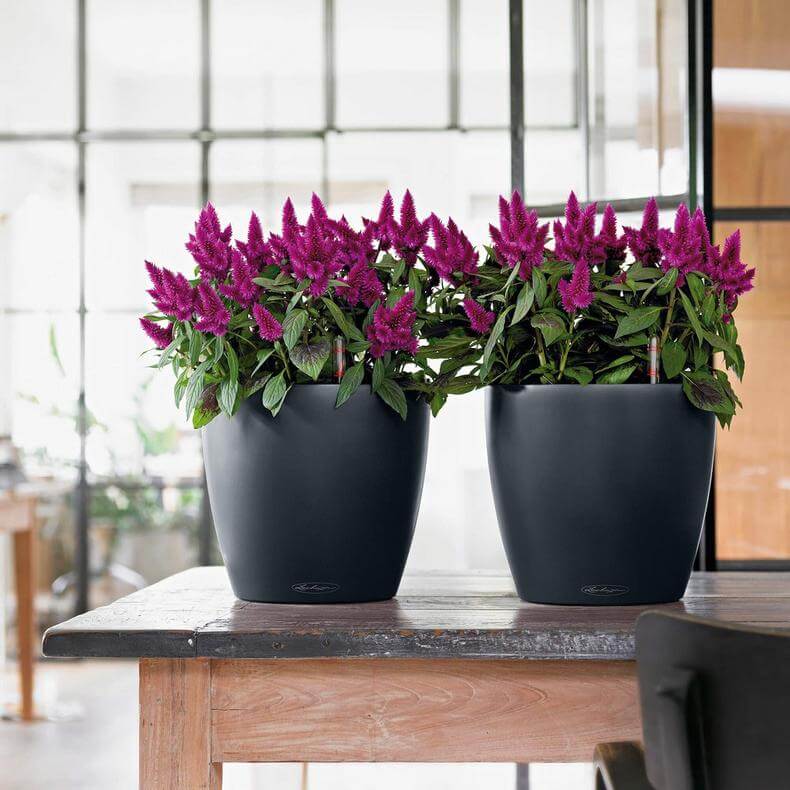 Lechuza Classico Color udendørs krukke til blomster med selvvandingssystem  Slate Ø21 x H20 cm