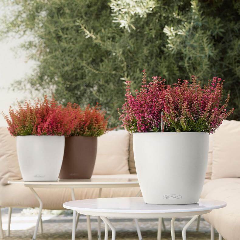 Lechuza Classico Color udendørs krukke til blomster med selvvandingssystem  Hvid Ø21 x H20 cm