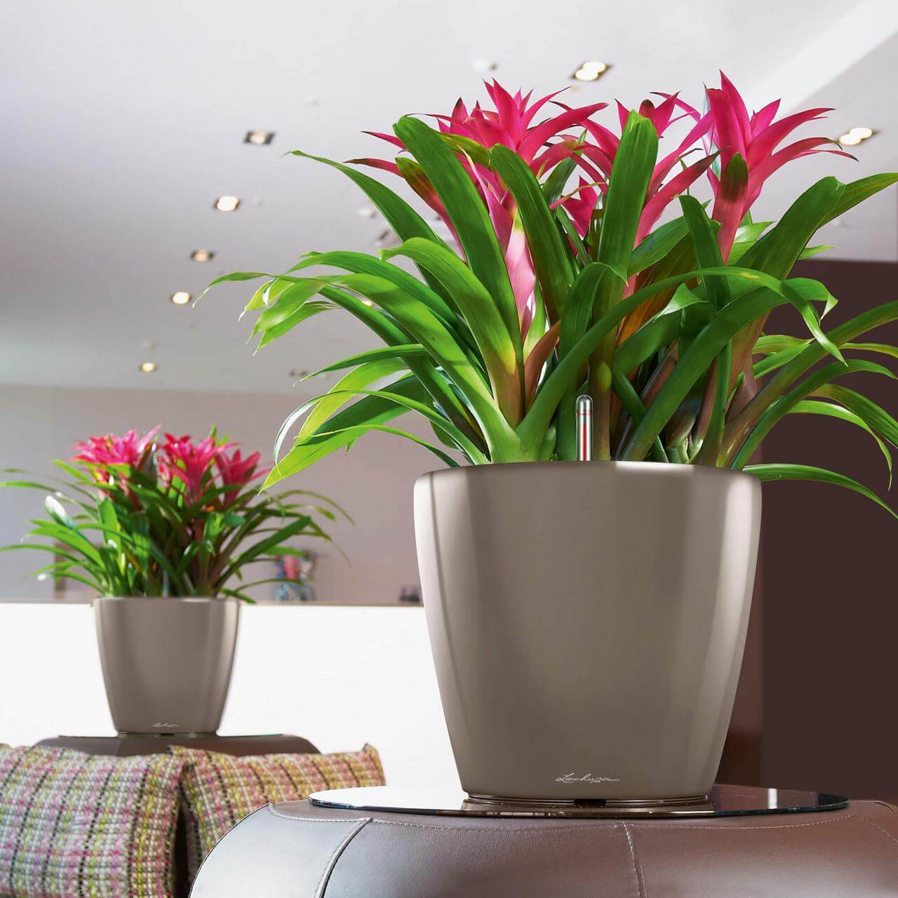 Billede af Lechuza Classico Premium LS indendørs krukke til blomster med selvvandingssystem Taupe Højglans Ø35 x H33 cm