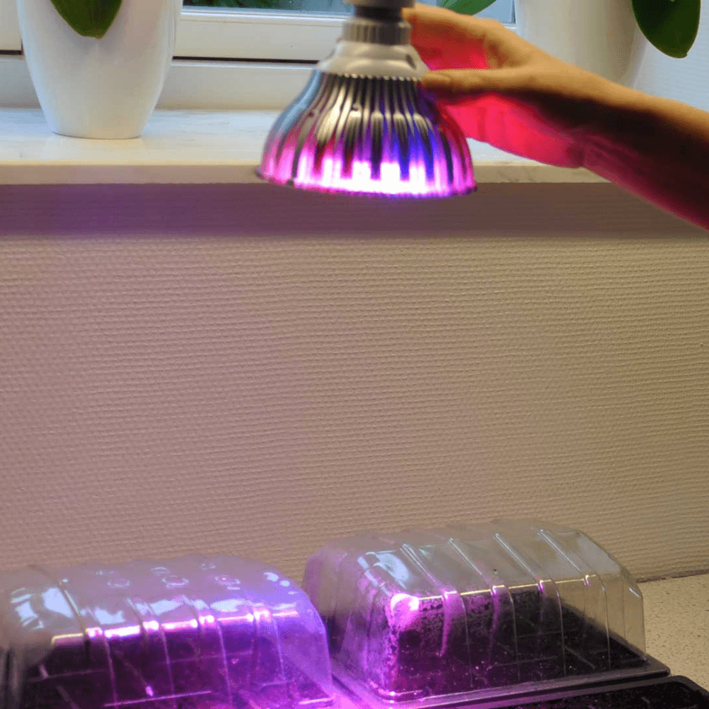 Se LED vækstlampe 12W hos Growcamp.dk