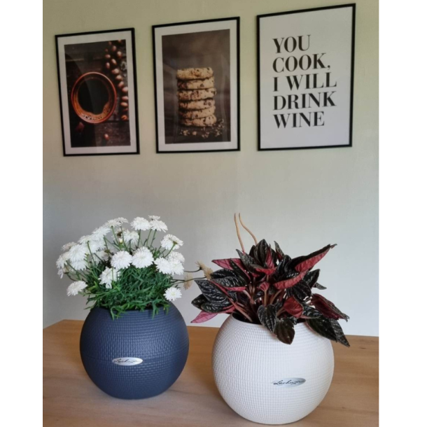 Lechuza  Puro Color 20 krukke til blomster med selvvandingssystem 