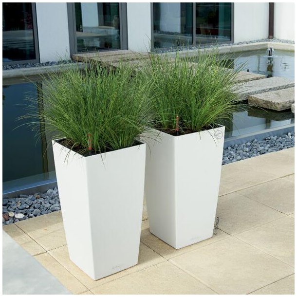 Lechuza Cubico Color krukke til blomster med selvvandingssystem 