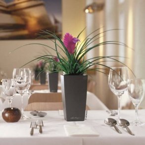 Lechuza  Mini Cubi indendrs krukke til blomster med selvvandingssystem 18,5 