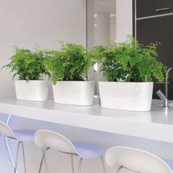 Lechuza  Delta 20 indendrs krukke til blomster med selvvandingssystem 18 