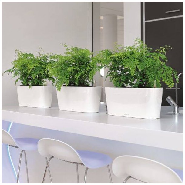 Lechuza  Delta 20 indendrs krukke til blomster med selvvandingssystem 18 