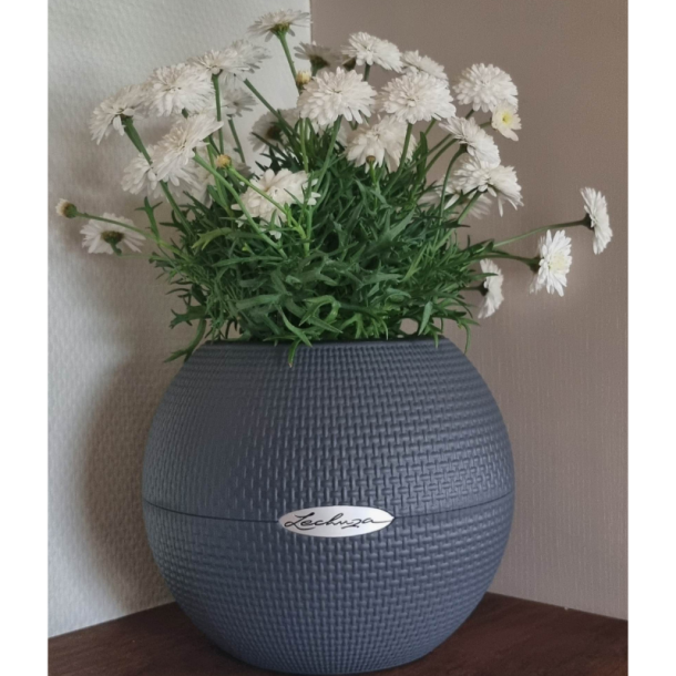 Lechuza  Puro Color 20 krukke til blomster med selvvandingssystem 