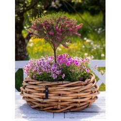 Maxi Rund Rattanbowle (inkl. pose)