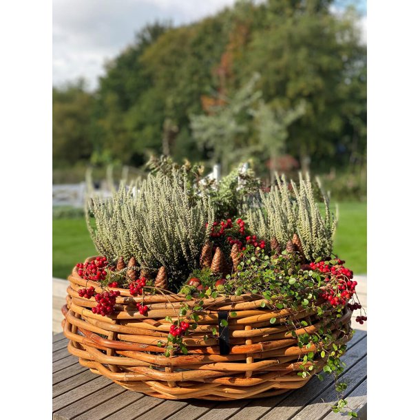 Maxi Rund Rattanbowle (inkl. pose)