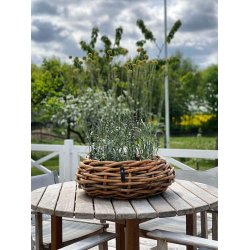 Maxi Rund Rattanbowle (inkl. pose)