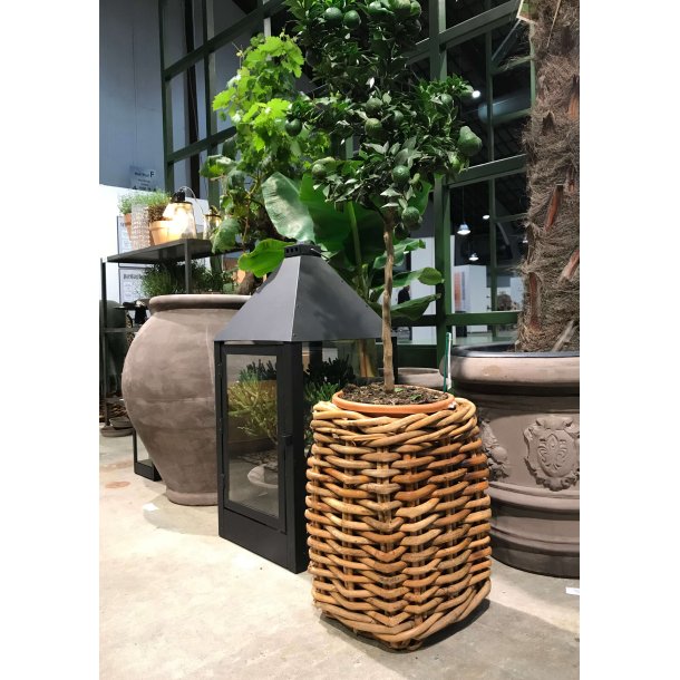 A2 Living Rattan basket square Mini