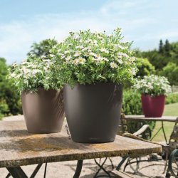 Lechuza Classico Color krukke til blomster med selvvandingssystem 
