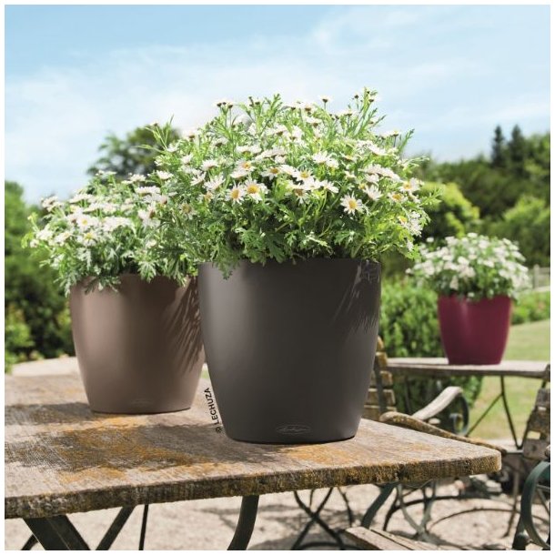 Lechuza Classico Color krukke til blomster med selvvandingssystem 
