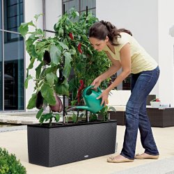 Lechuza - Trio Kategorier