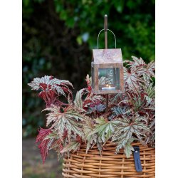 Mini Spyd t. Hnglamporna i koppar/Messing-look