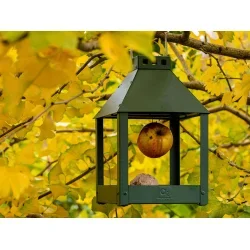 Olivengrn Mini Quadro 'Birdy Eat' Foderbrt