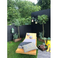 Lantern Wall Mini Olive Green