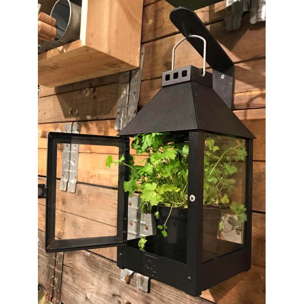 Lantern Wall Bracket