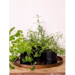 Svart blomkruka (set om 3 st / 3 storlekar)