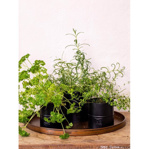 Svart blomkruka (set om 3 st / 3 storlekar)