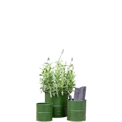 Olivengr�n Urtepotte (s�t m.3 stk. i 3 str.) 