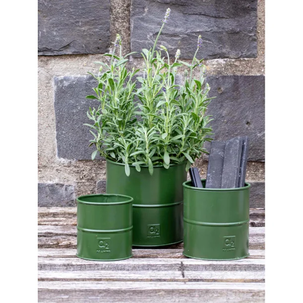 Olivengr�n Urtepotte (s�t m.3 stk. i 3 str.) 