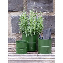 Oliven Grn Urtepotte (st m. 3 stk. / 3 str.)