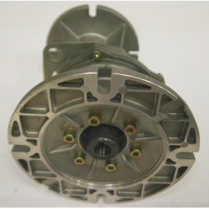 GEAR MS80-B5-19-I=2,55 FLEXSNEGL