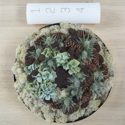 Adventslys m. Guld, Slv eller rd tal