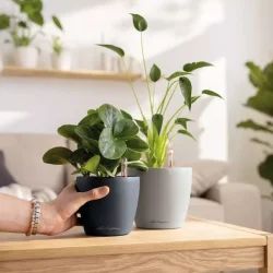 Classico color 12 - Slate